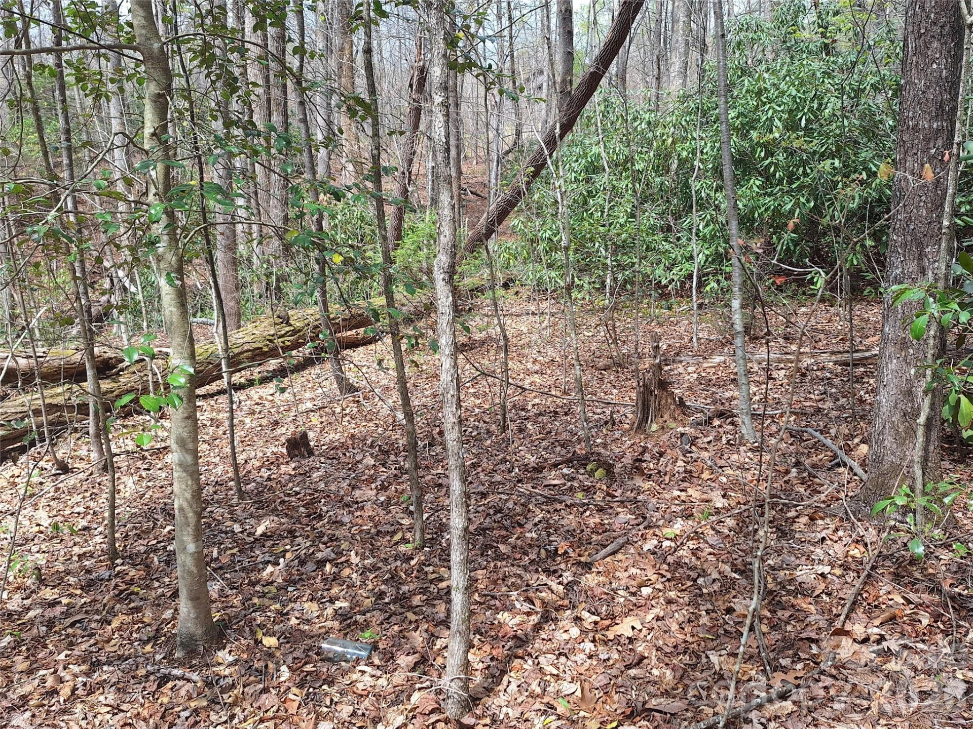 946 Lake Road - Photo 37