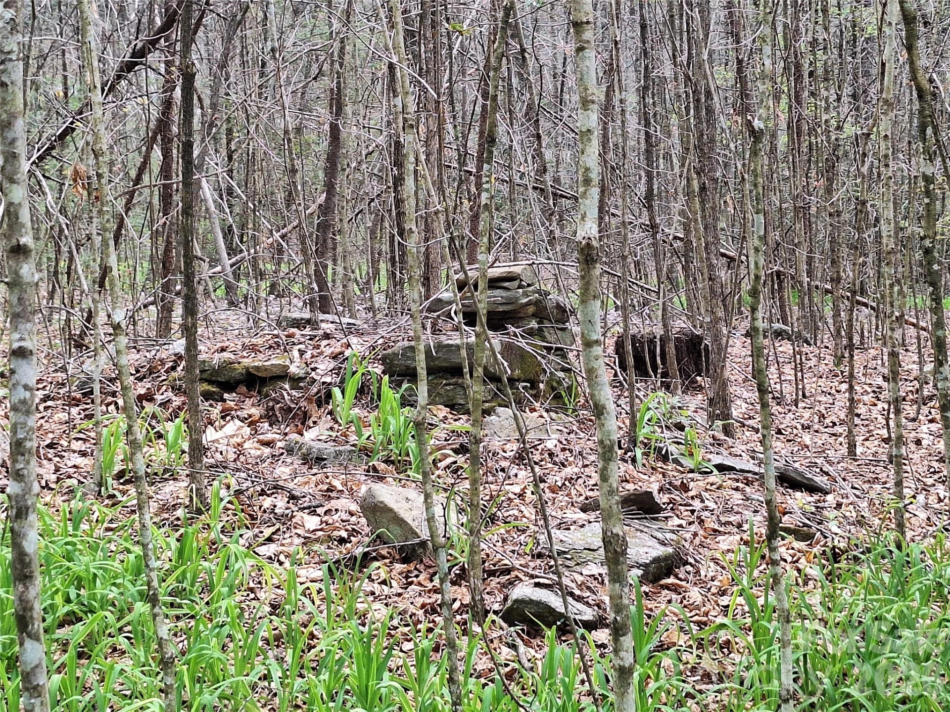 946 Lake Road - Photo 38