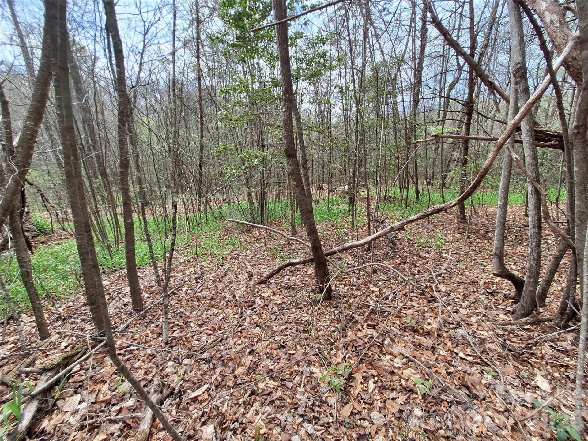 946 Lake Road - Photo 39