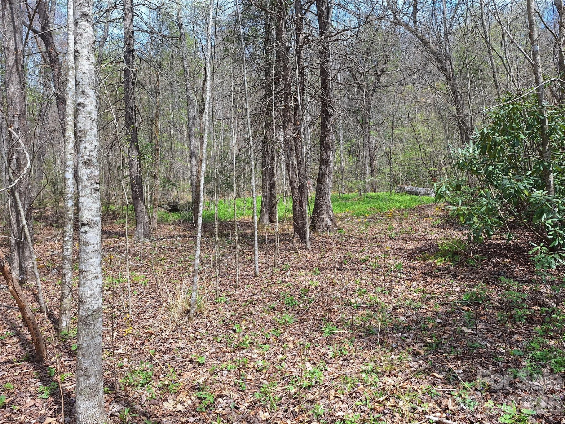 946 Lake Road - Photo 5