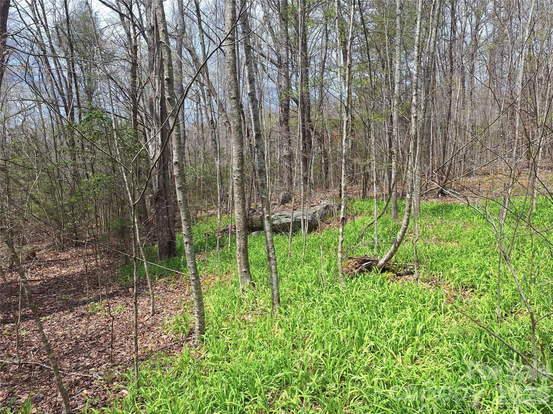 946 Lake Road - Photo 6
