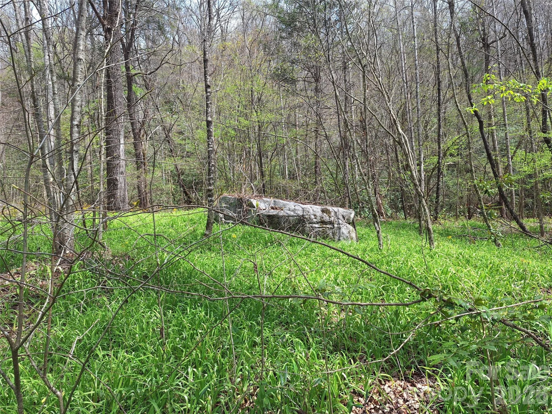 946 Lake Road - Photo 7