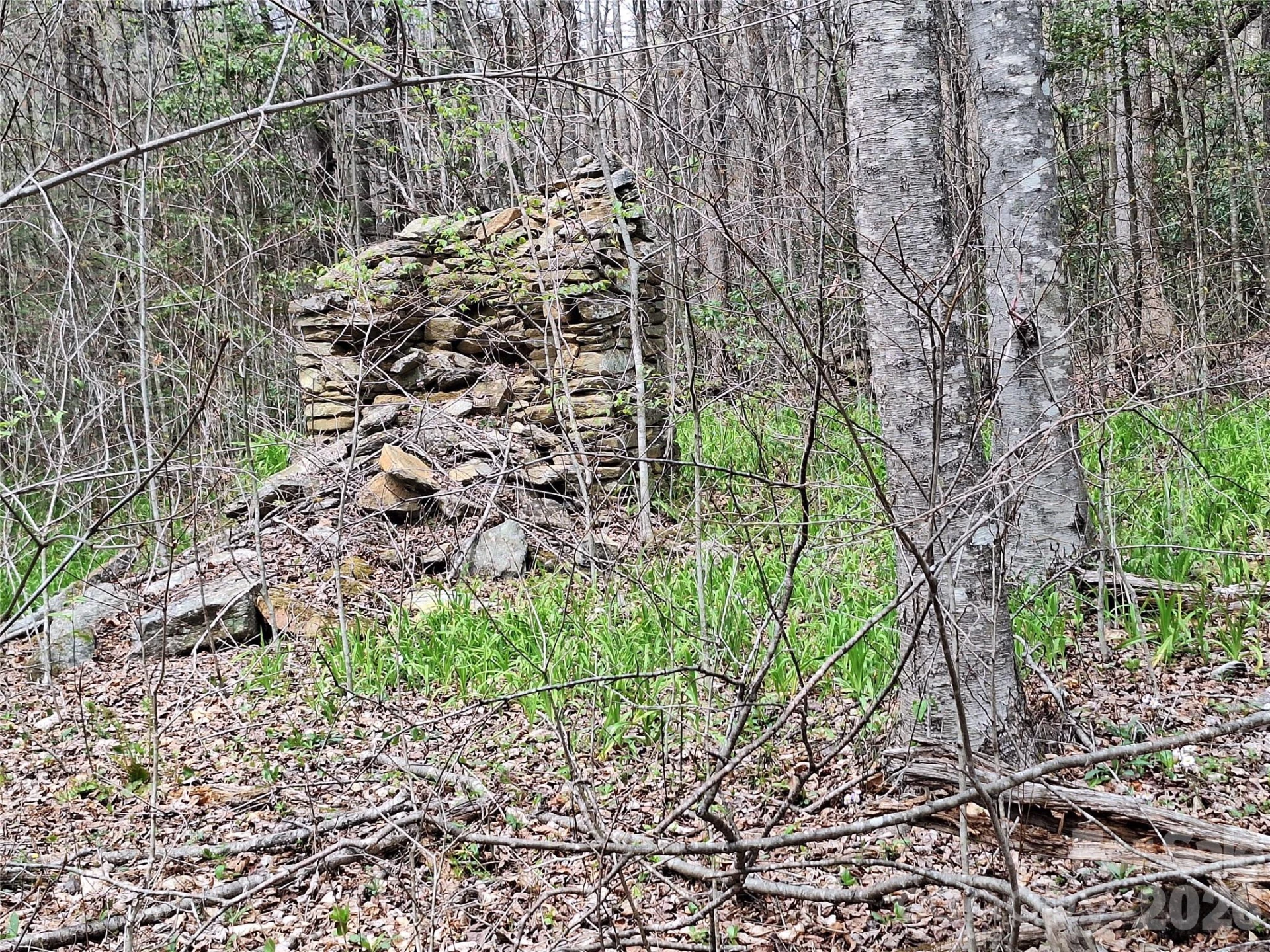 946 Lake Road - Photo 10