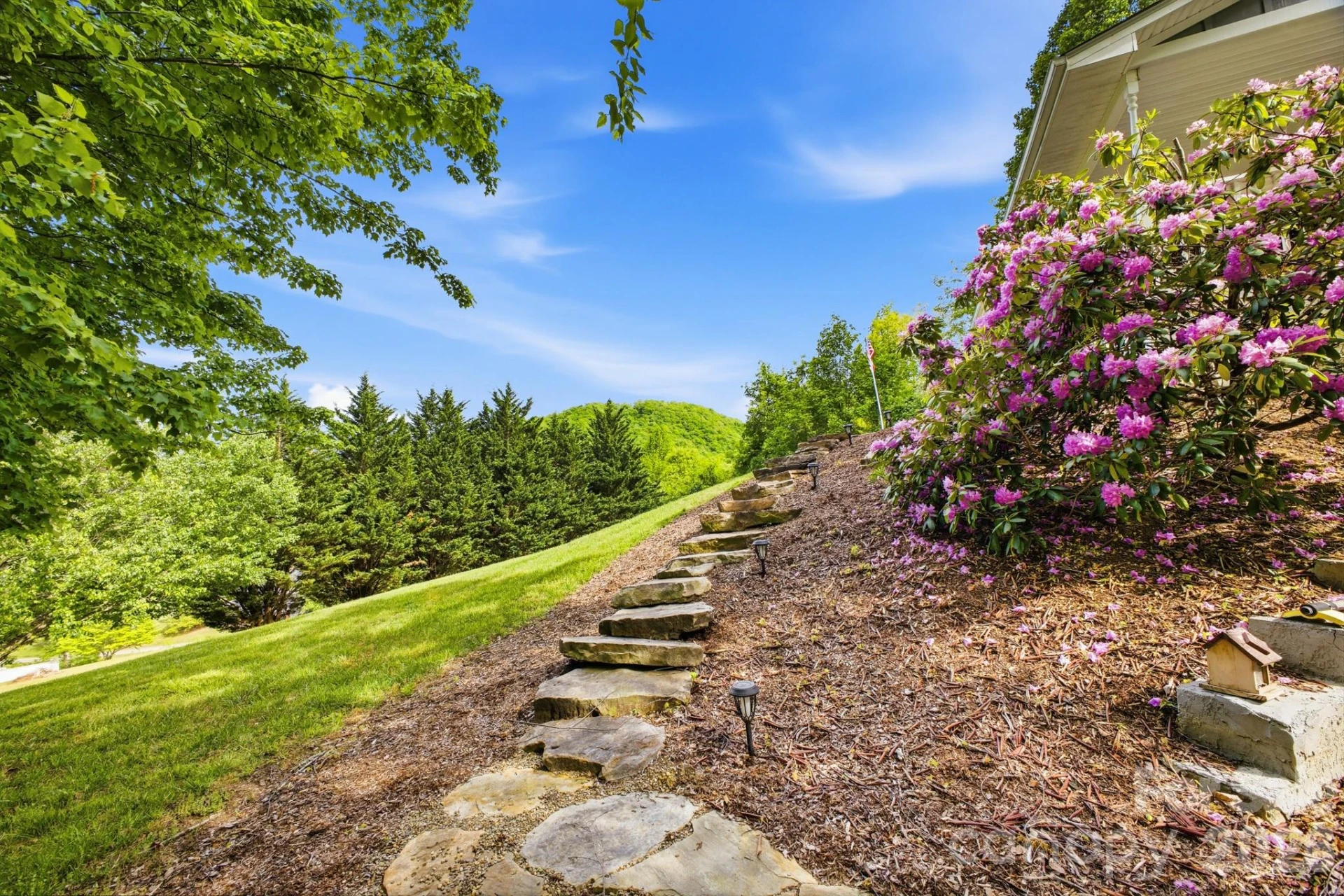 48 Open Range Drive - Photo 4