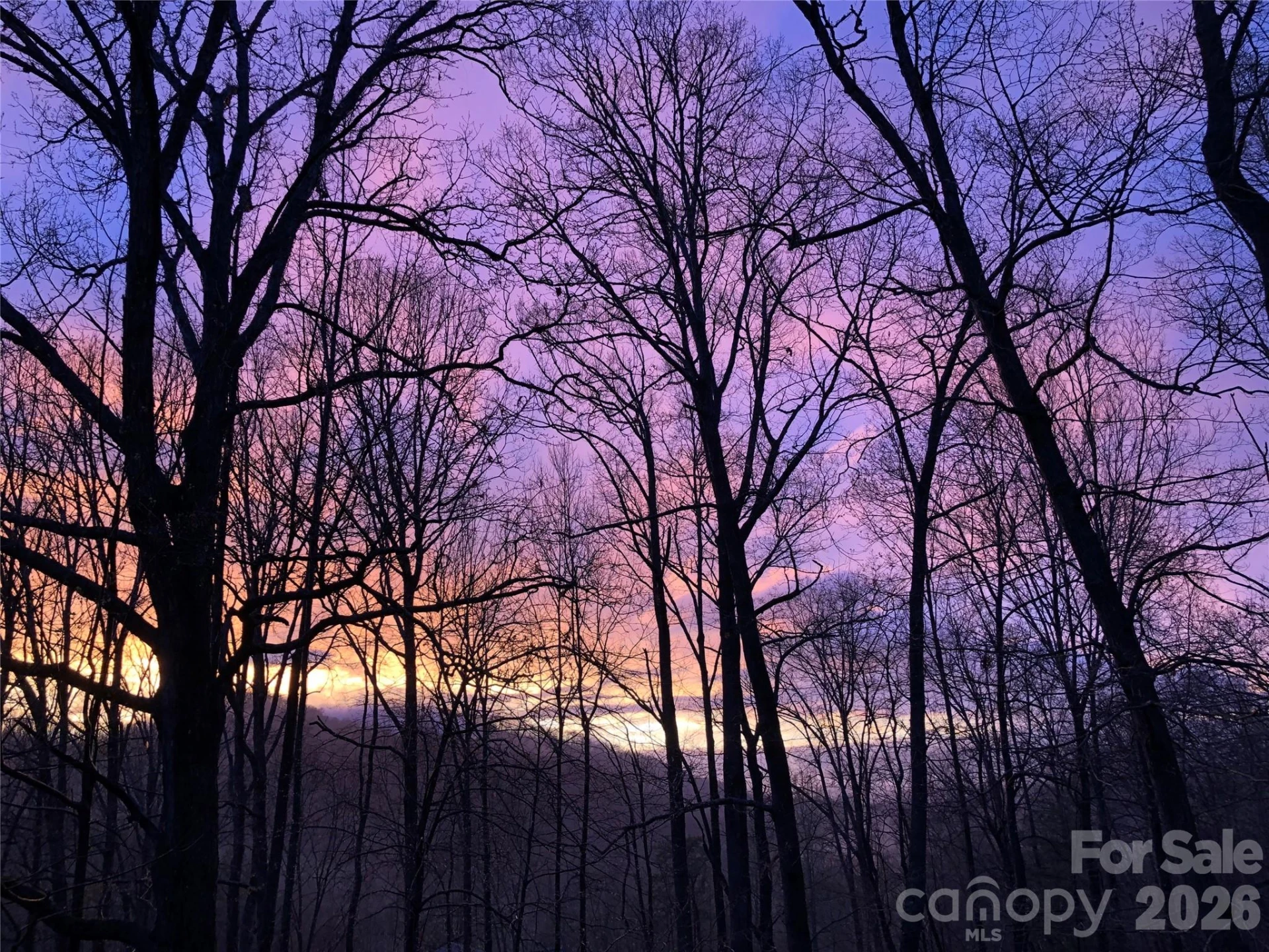 55 Sugar Hill Drive - Photo 43
