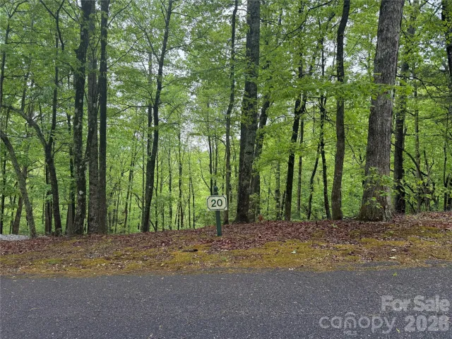 39 Black Bear Ridge Trail