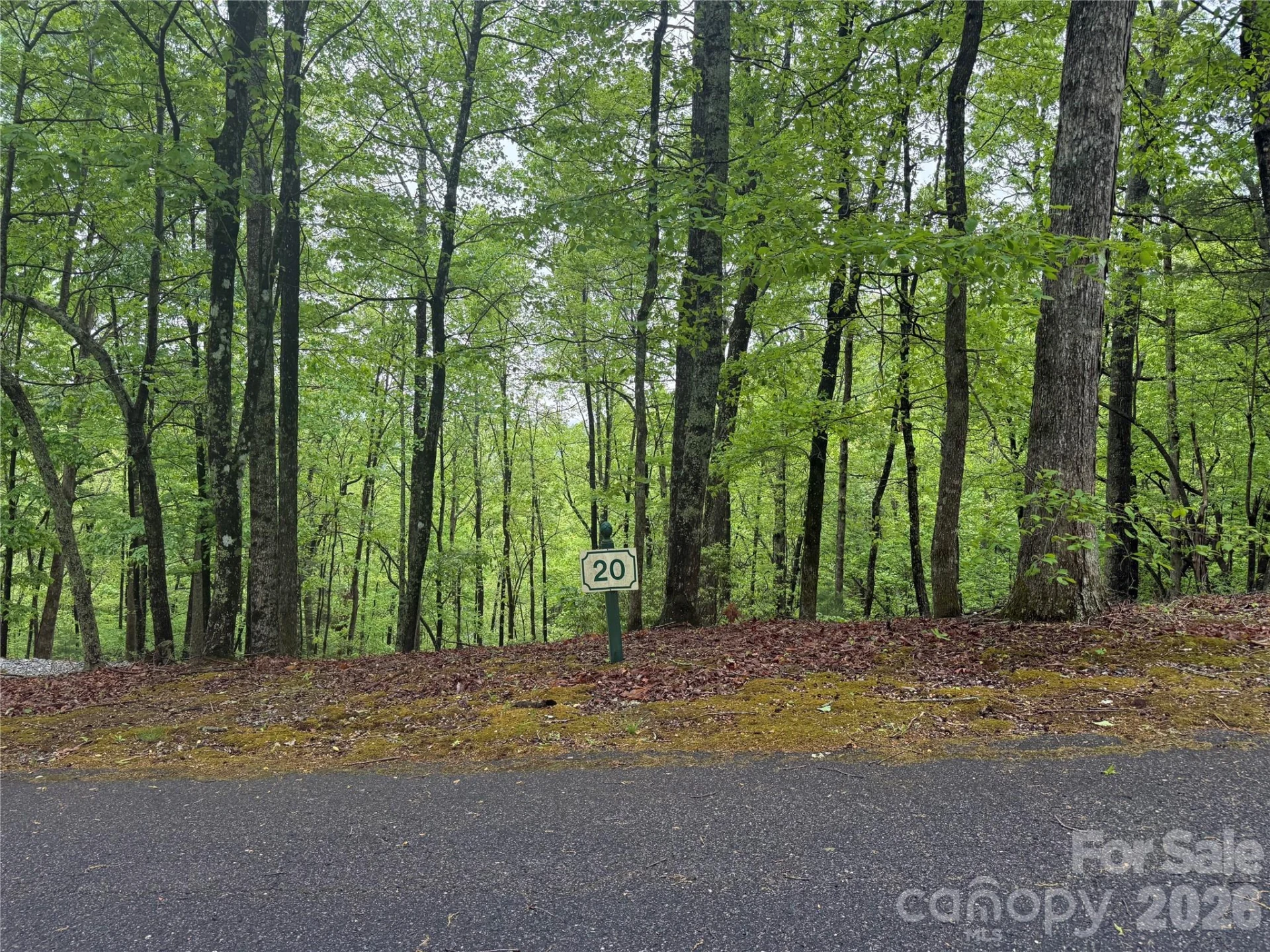 39 Black Bear Ridge Trail #20