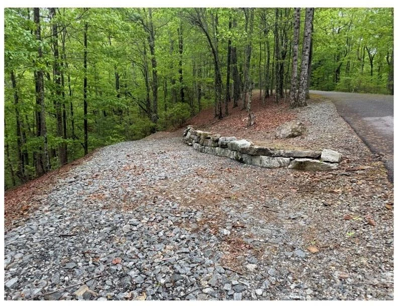 39 Black Bear Ridge Trail #20 - Photo 2