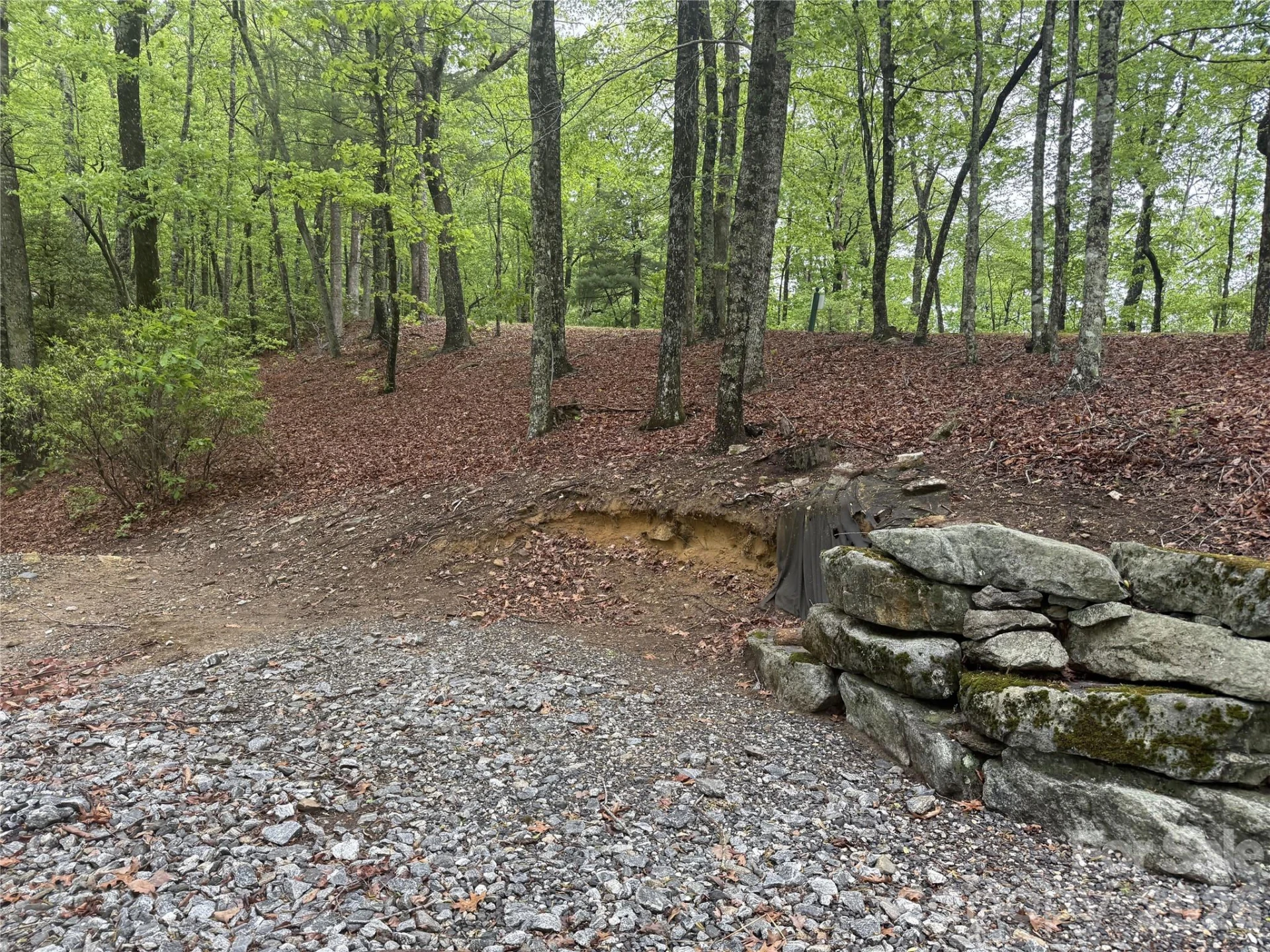 39 Black Bear Ridge Trail #20 - Photo 3