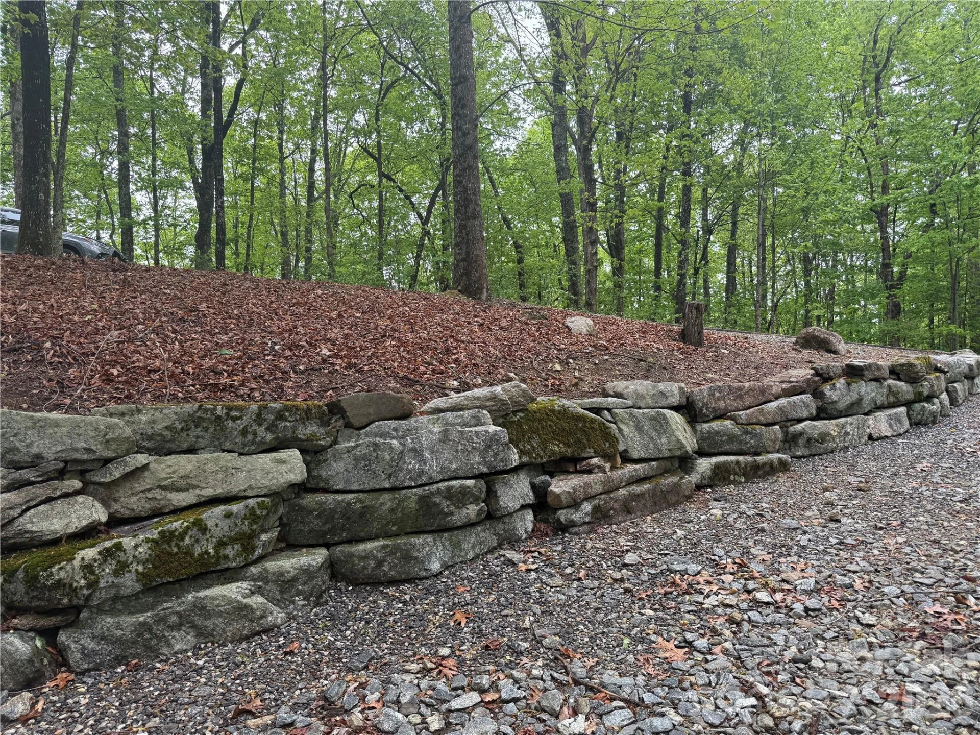 39 Black Bear Ridge Trail #20 - Photo 4