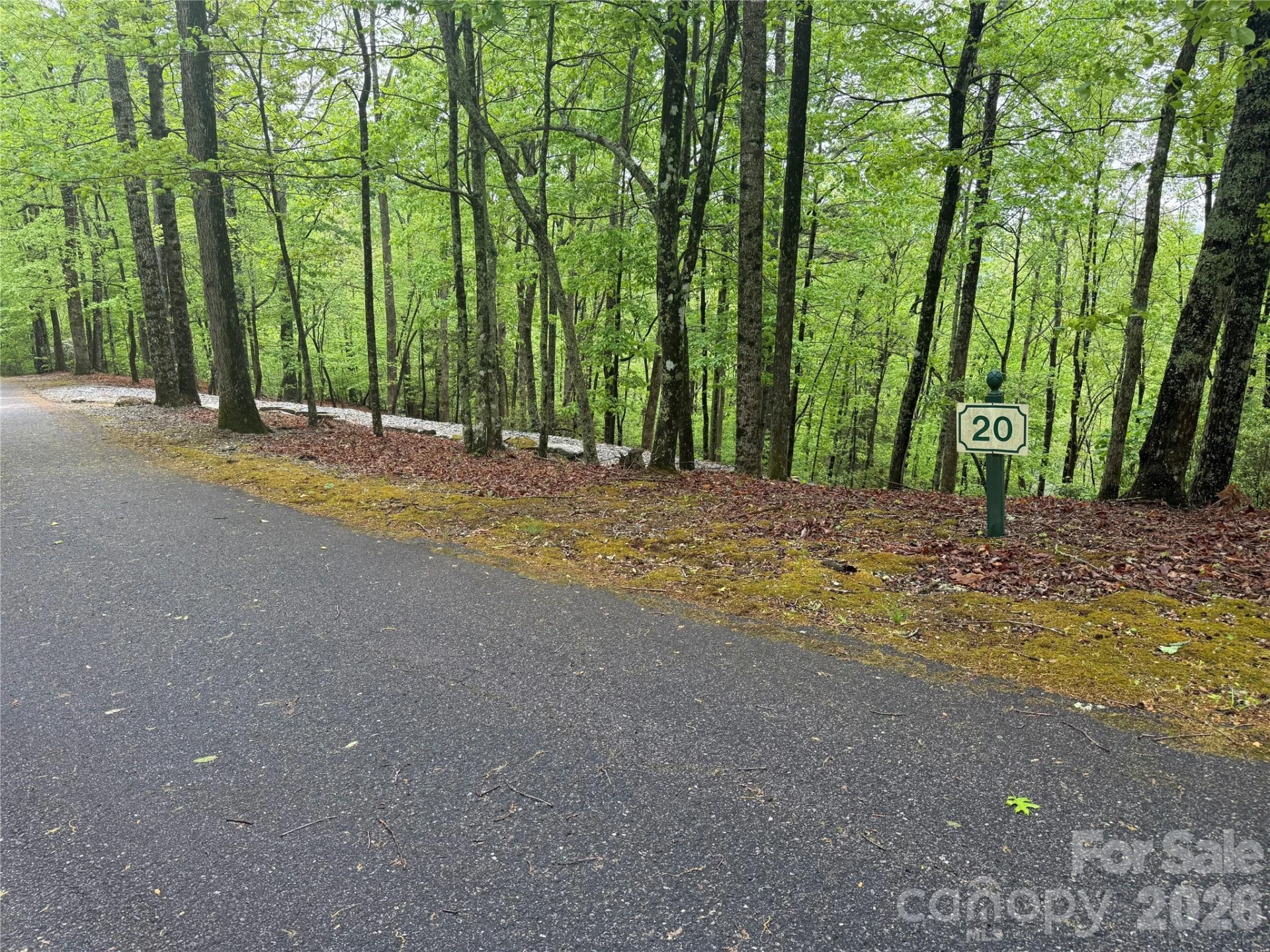 39 Black Bear Ridge Trail #20 - Photo 8