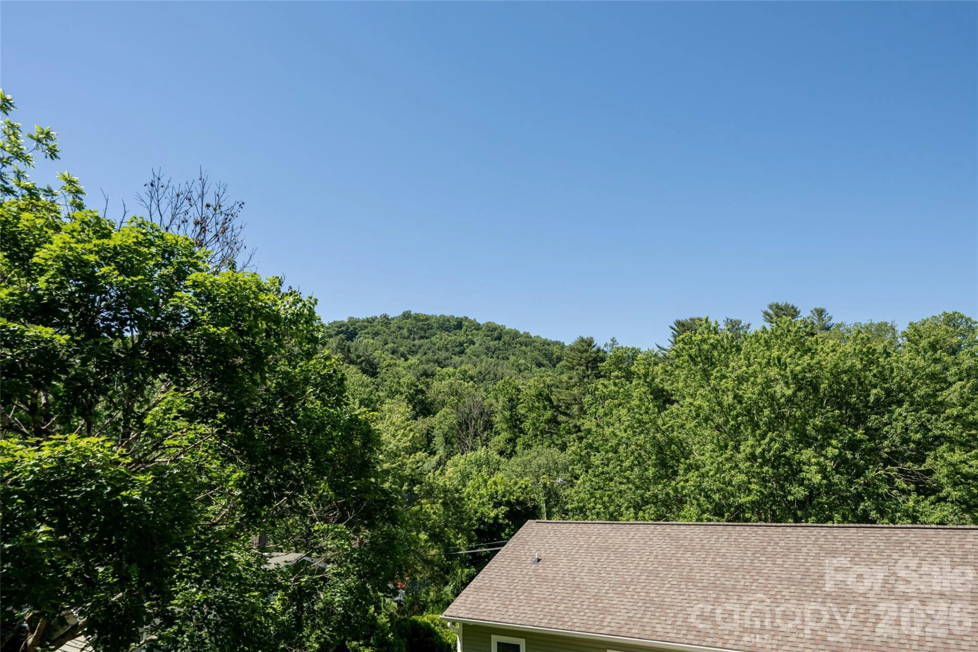 19 Sycamore Street - Photo 28