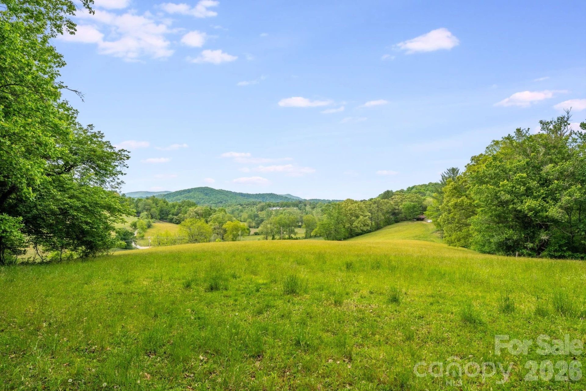 435 Upper Glady Fork Road - Photo 6