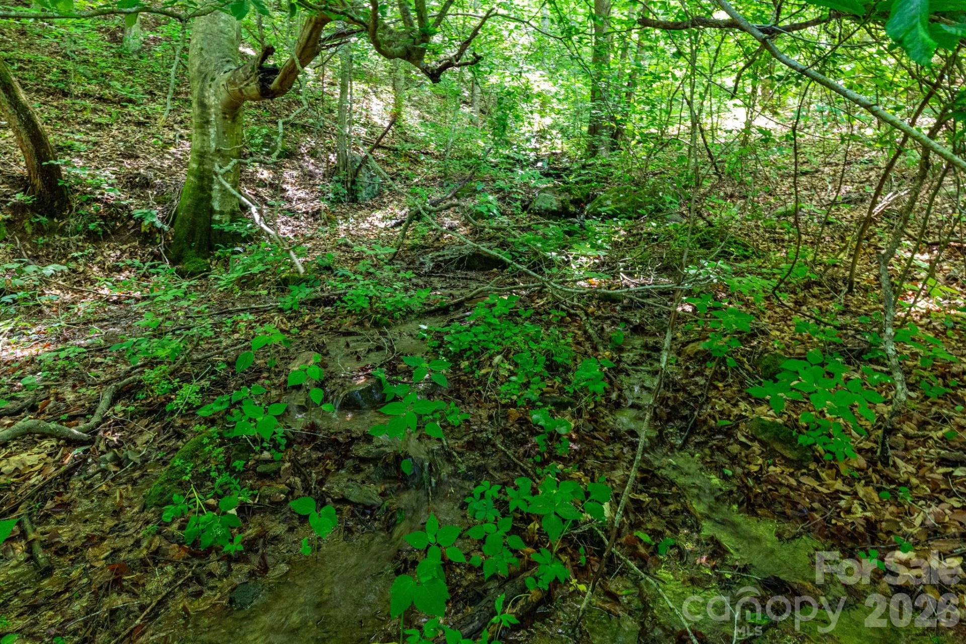 329 N Fork Road - Photo 20