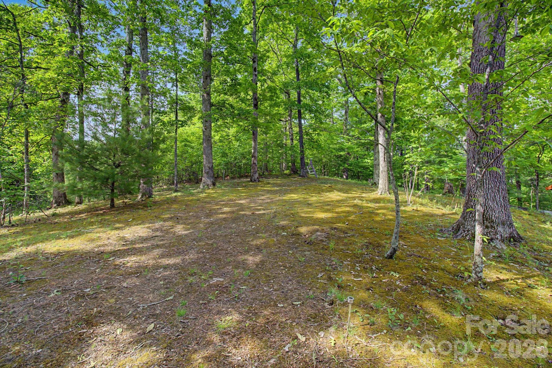 288 Rebel Drive - Photo 34