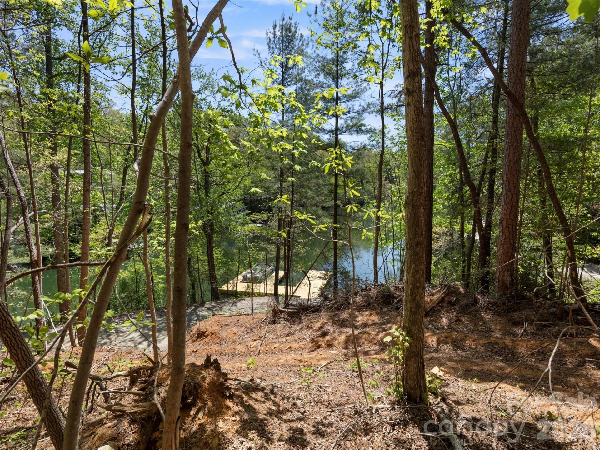 99999 N Lake Summit Road - Photo 11