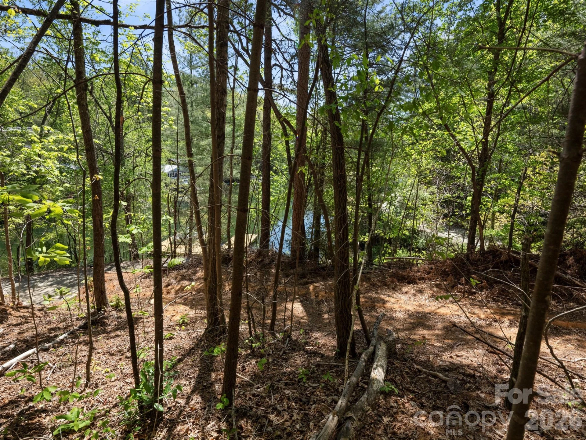 99999 N Lake Summit Road - Photo 12