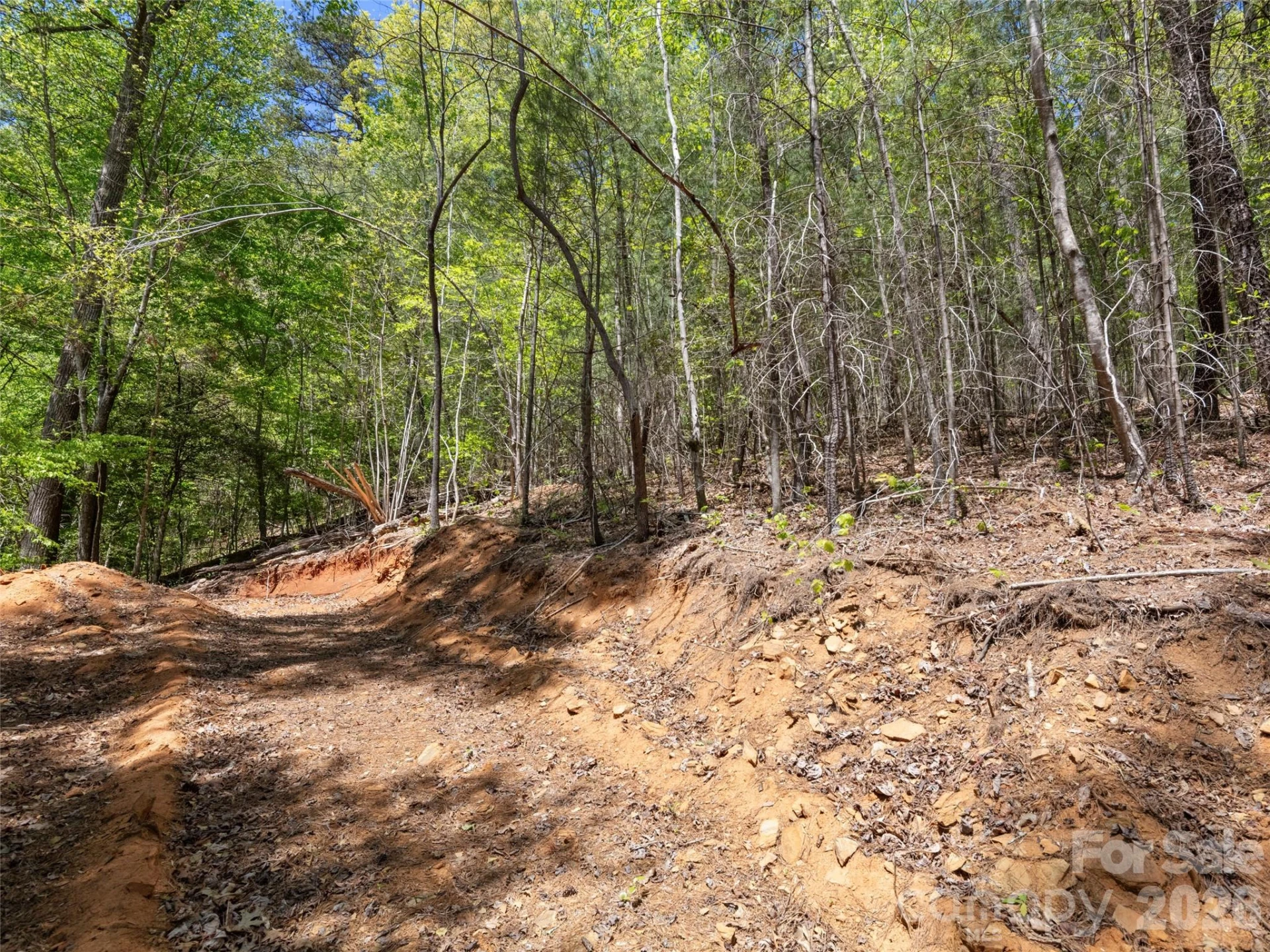 99999 N Lake Summit Road - Photo 13