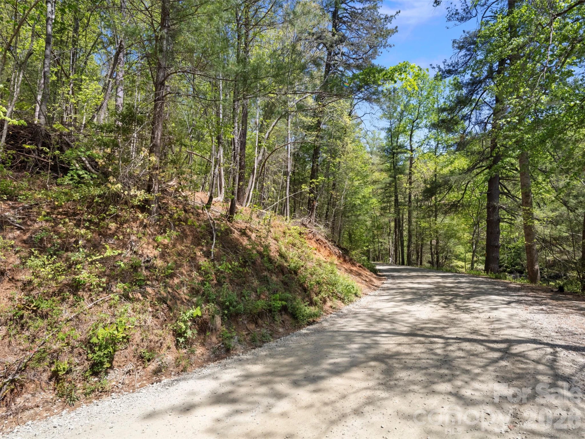 99999 N Lake Summit Road - Photo 9