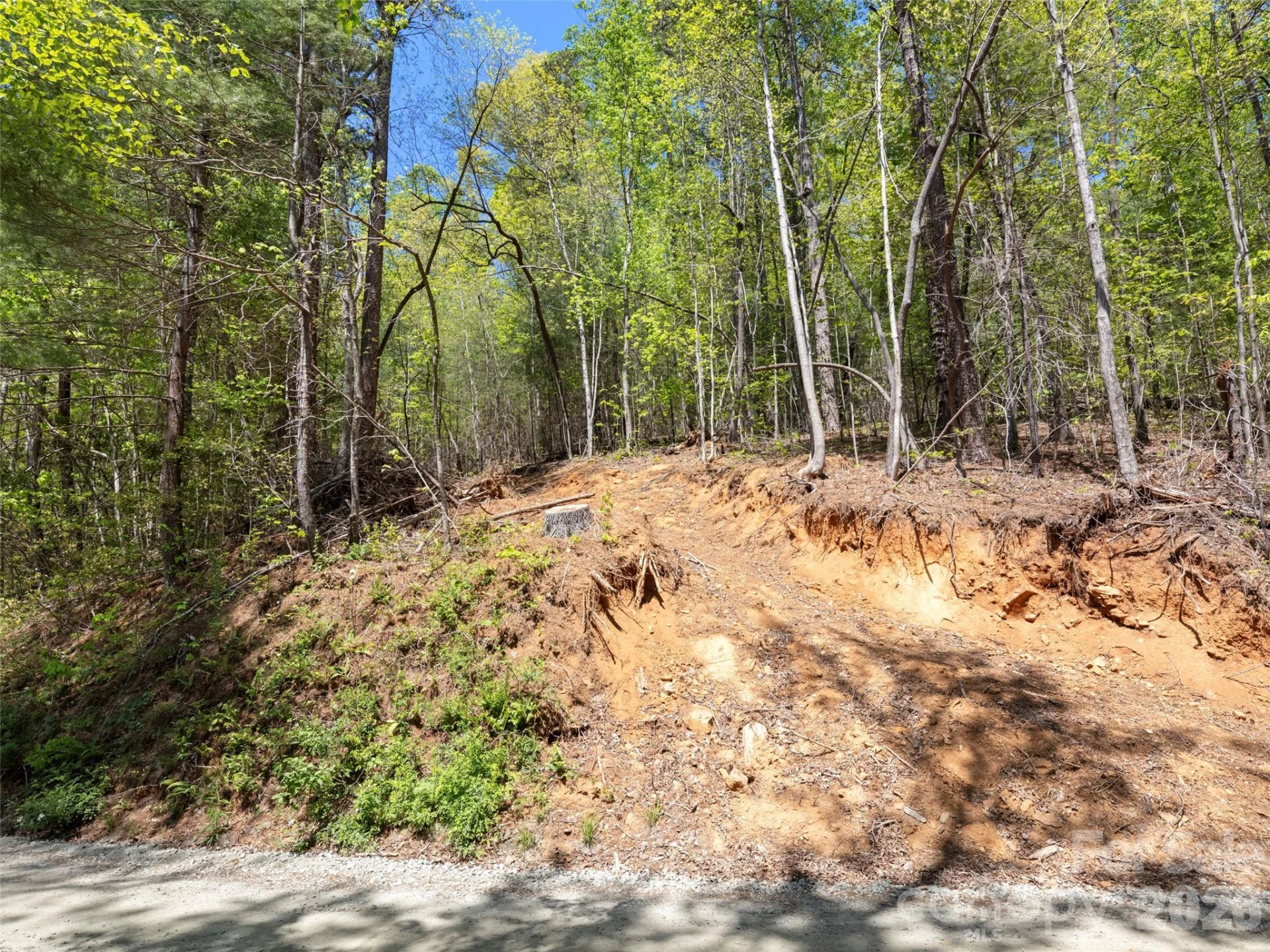 99999 N Lake Summit Road - Photo 10