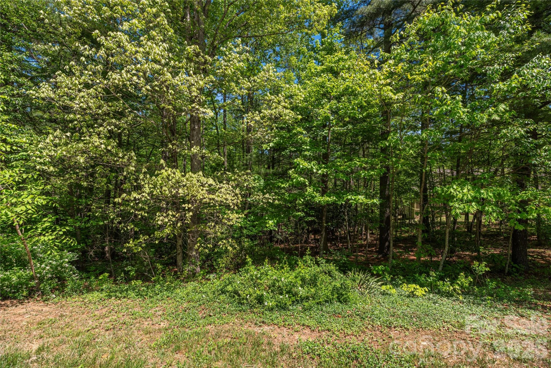305 & 349 Freedom Trail Court - Photo 34