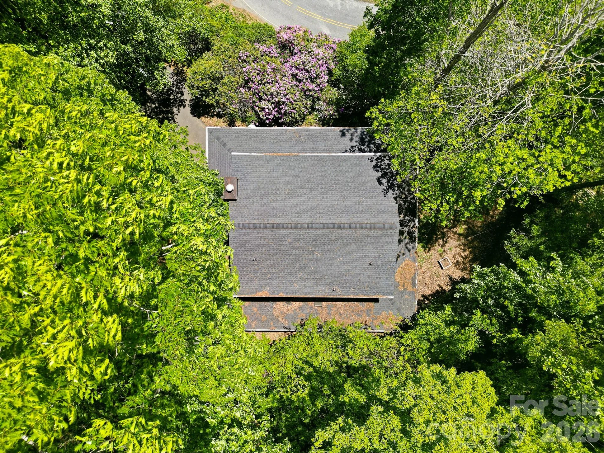 2131 Coleman Mountain Road - Photo 39
