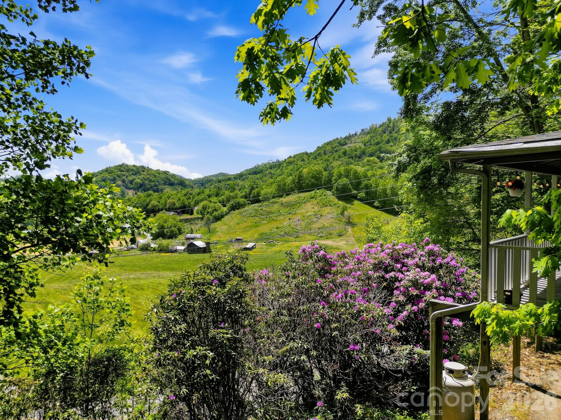2131 Coleman Mountain Road - Photo 5