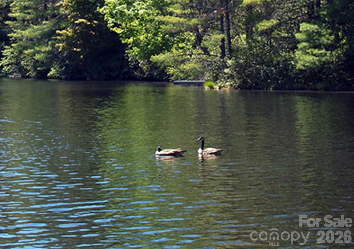 152 Sunrise Court #152 - Photo 7