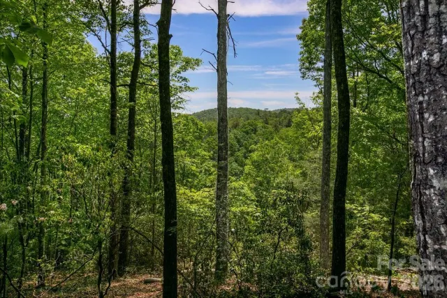 TBD Diamond Creek Road, Lake Toxaway, NC, 28747