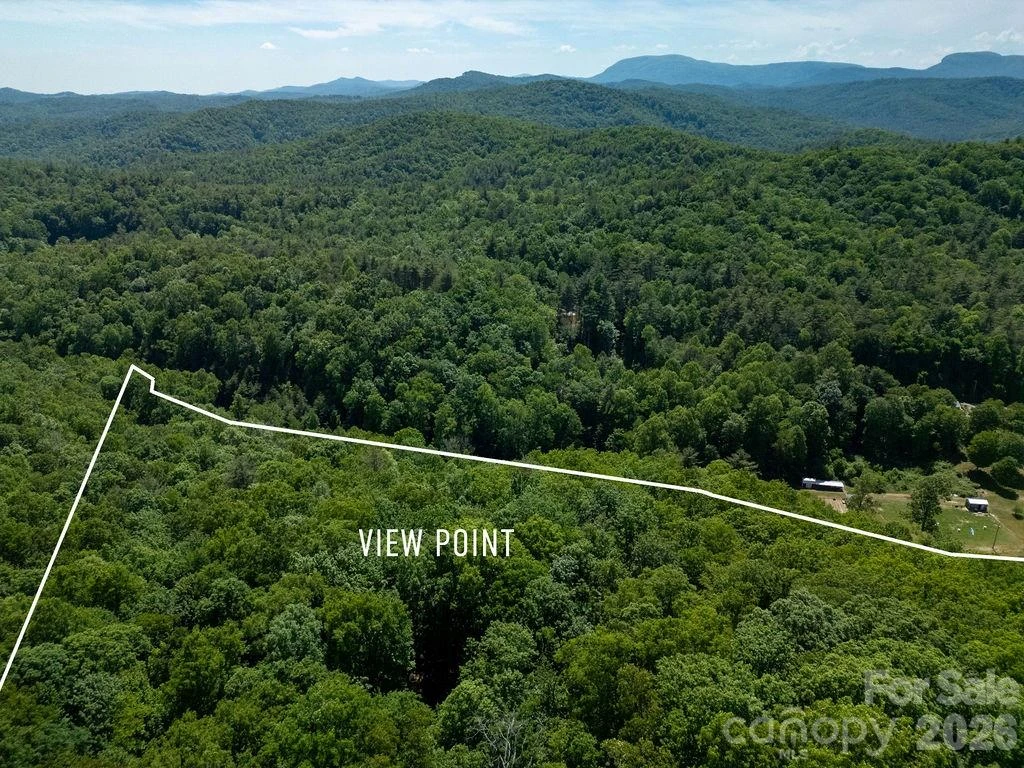 TBD Diamond Creek Road - Photo 12
