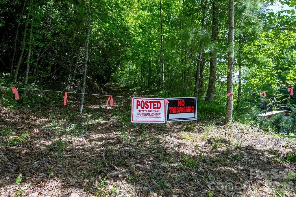 TBD Diamond Creek Road - Photo 13