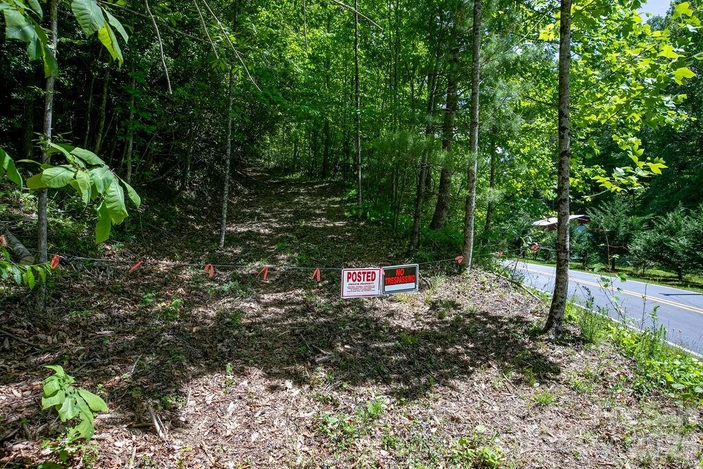 TBD Diamond Creek Road - Photo 14
