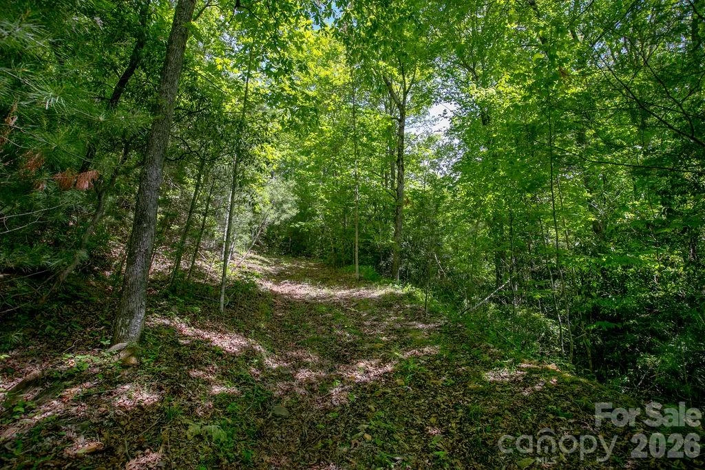 TBD Diamond Creek Road - Photo 15