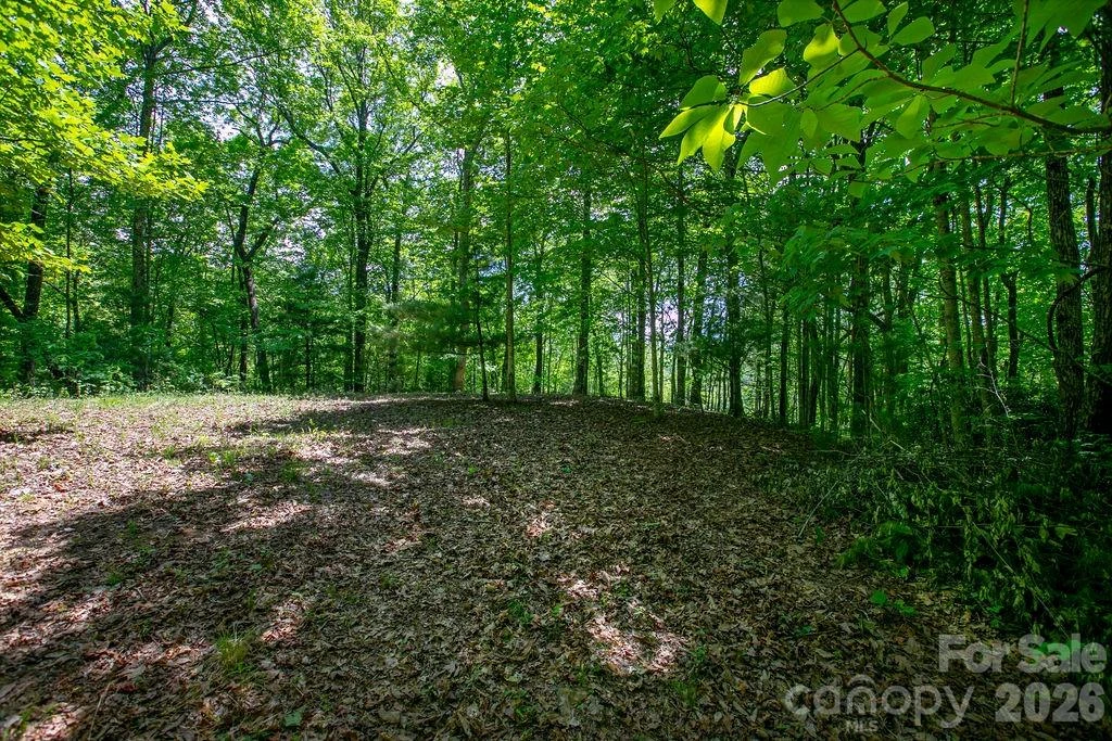TBD Diamond Creek Road - Photo 3
