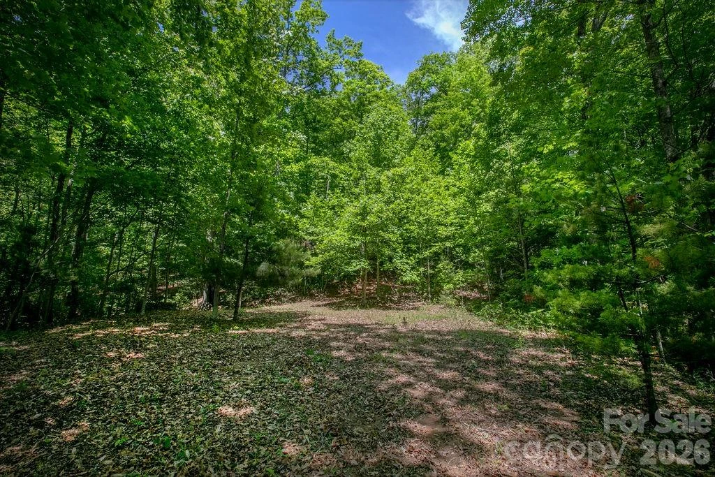 TBD Diamond Creek Road - Photo 4