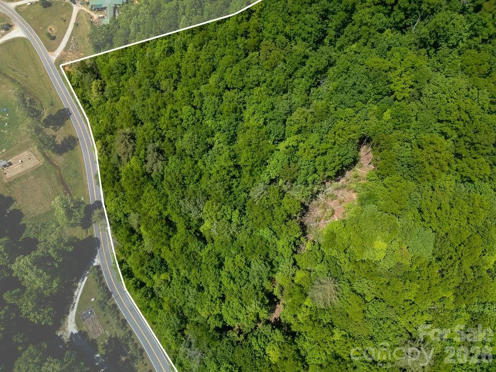 TBD Diamond Creek Road - Photo 9