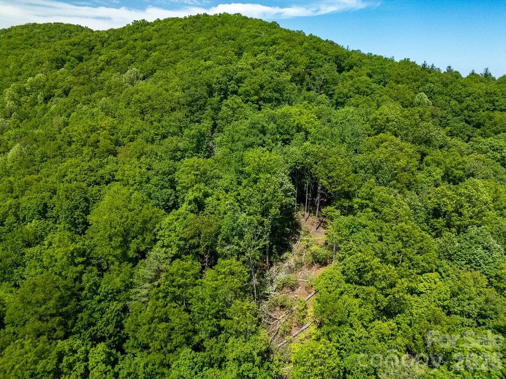 TBD Diamond Creek Road - Photo 11