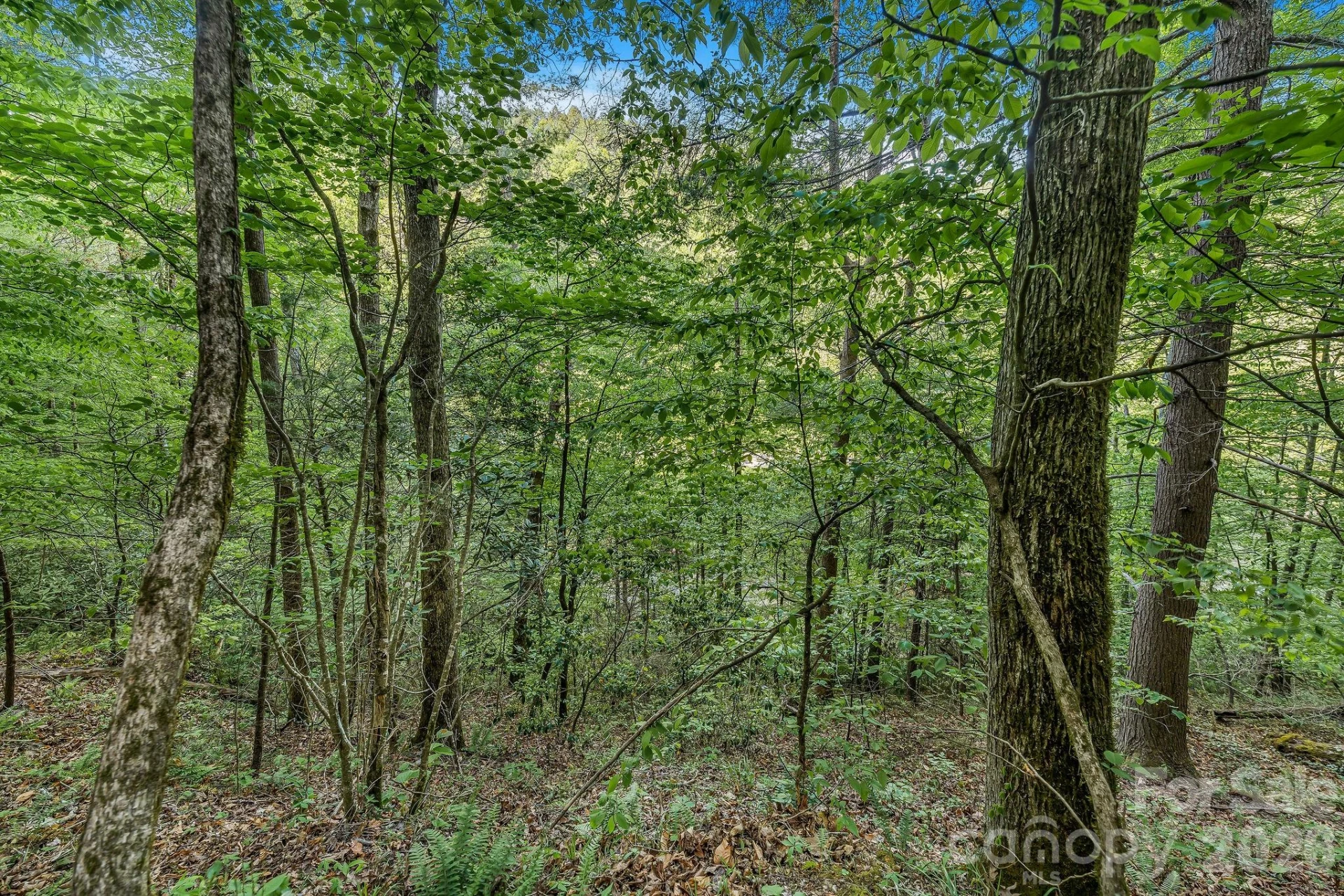 31 Caddis Court - Photo 4