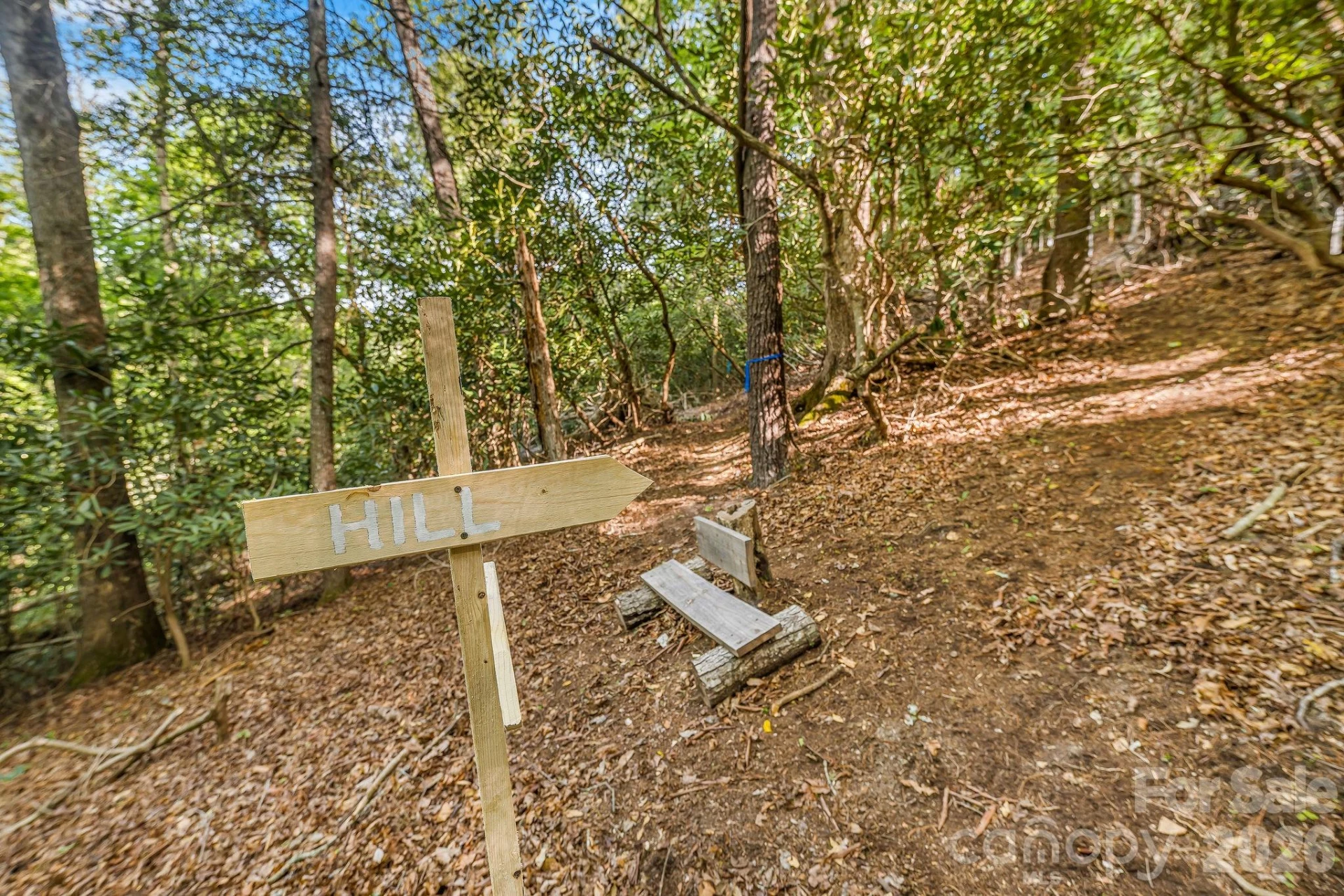 31 Caddis Court - Photo 6