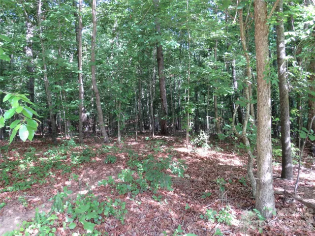 0 S Woodleaf Road, Forest City, NC, 28043