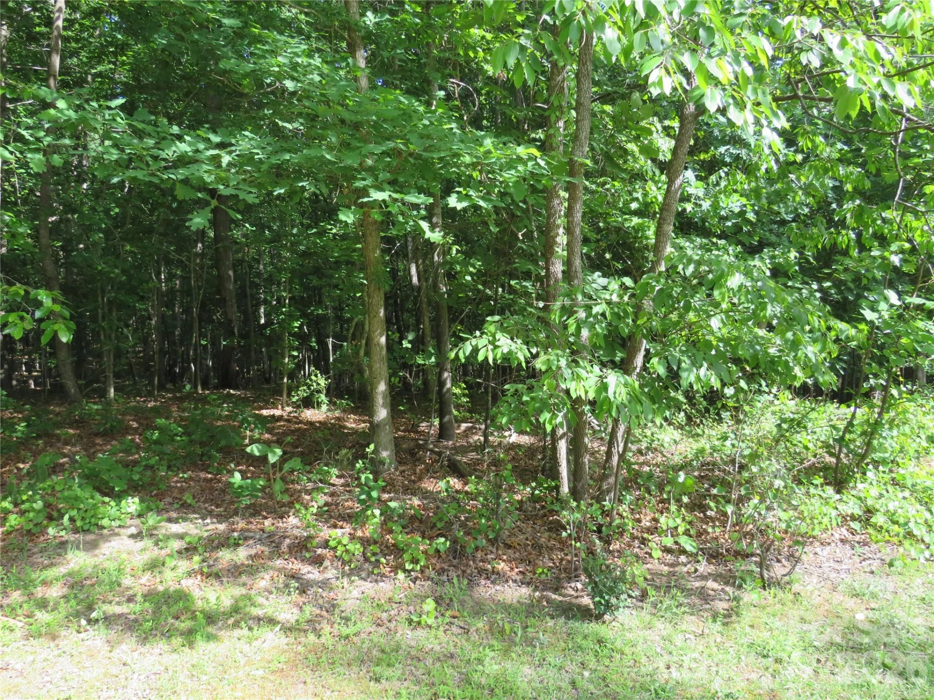 0 S Woodleaf Road - Photo 2