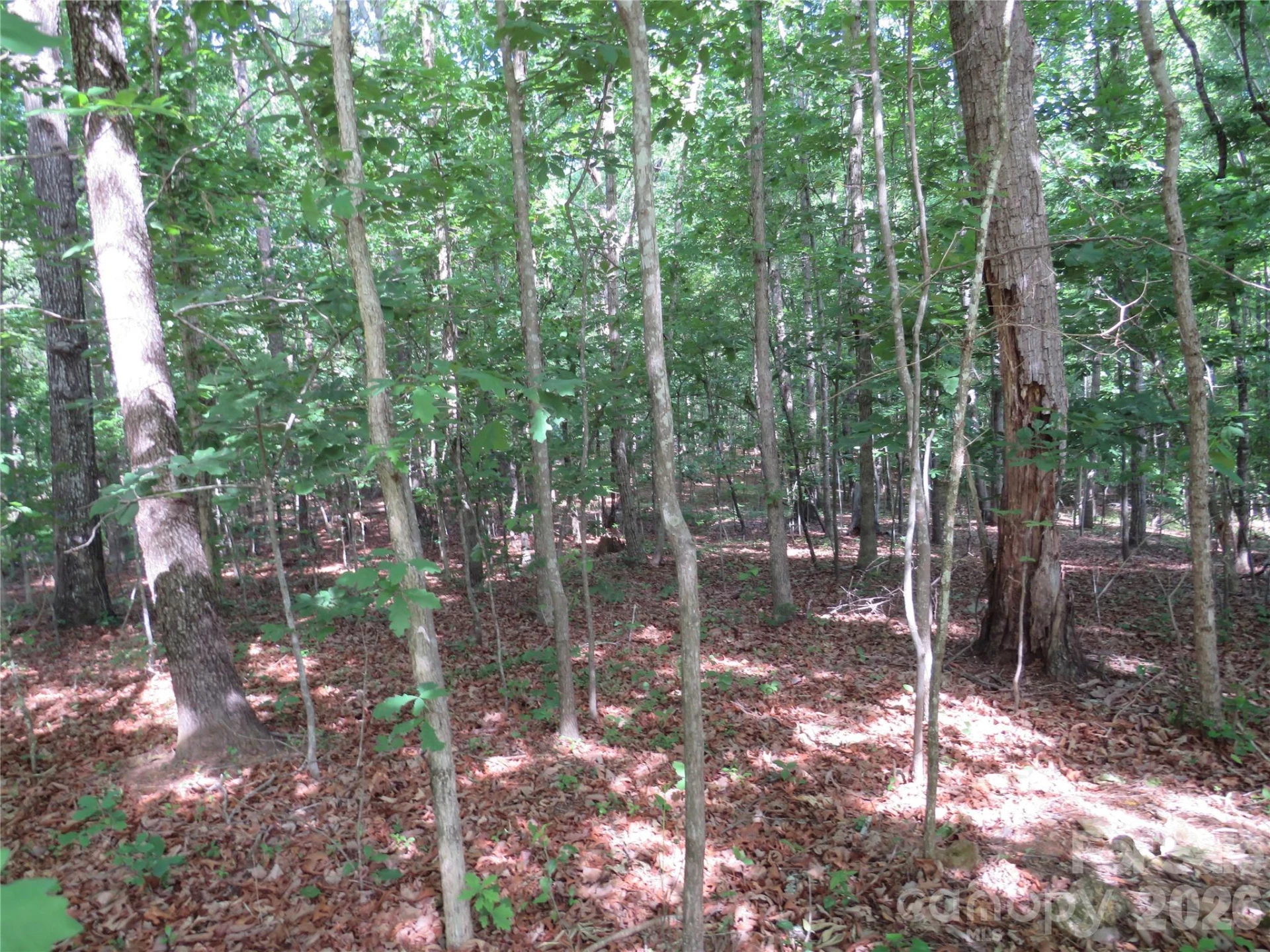 0 S Woodleaf Road - Photo 11