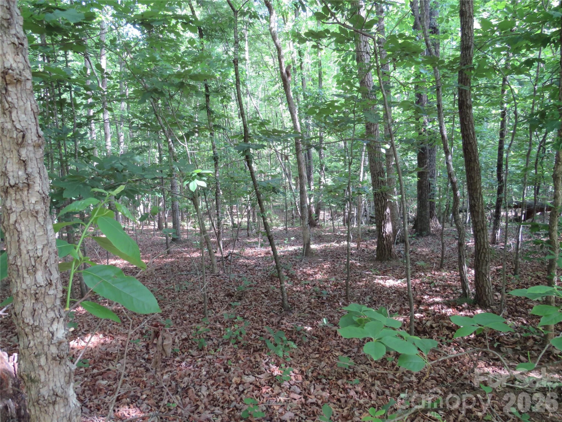 0 S Woodleaf Road - Photo 12