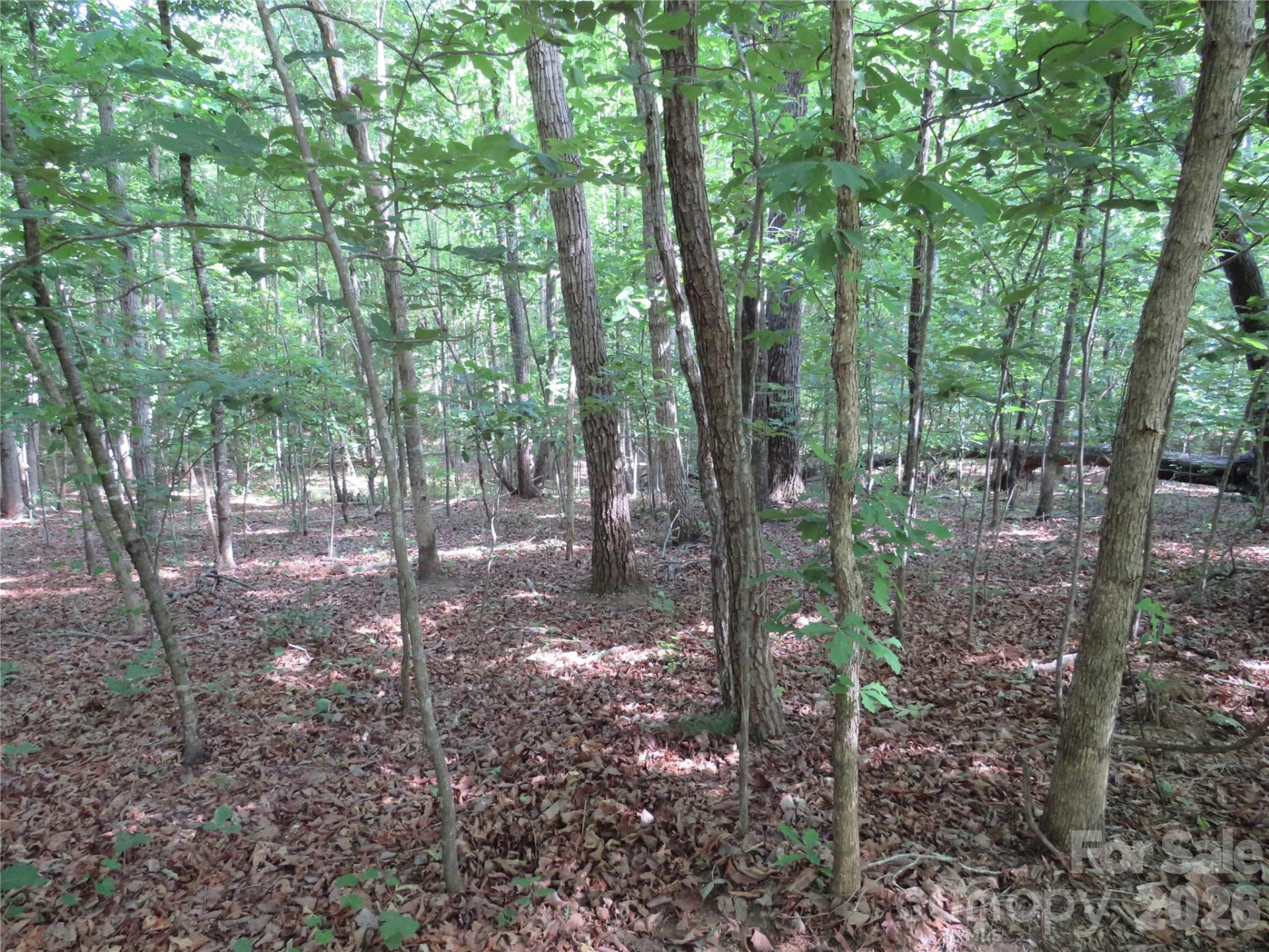 0 S Woodleaf Road - Photo 13