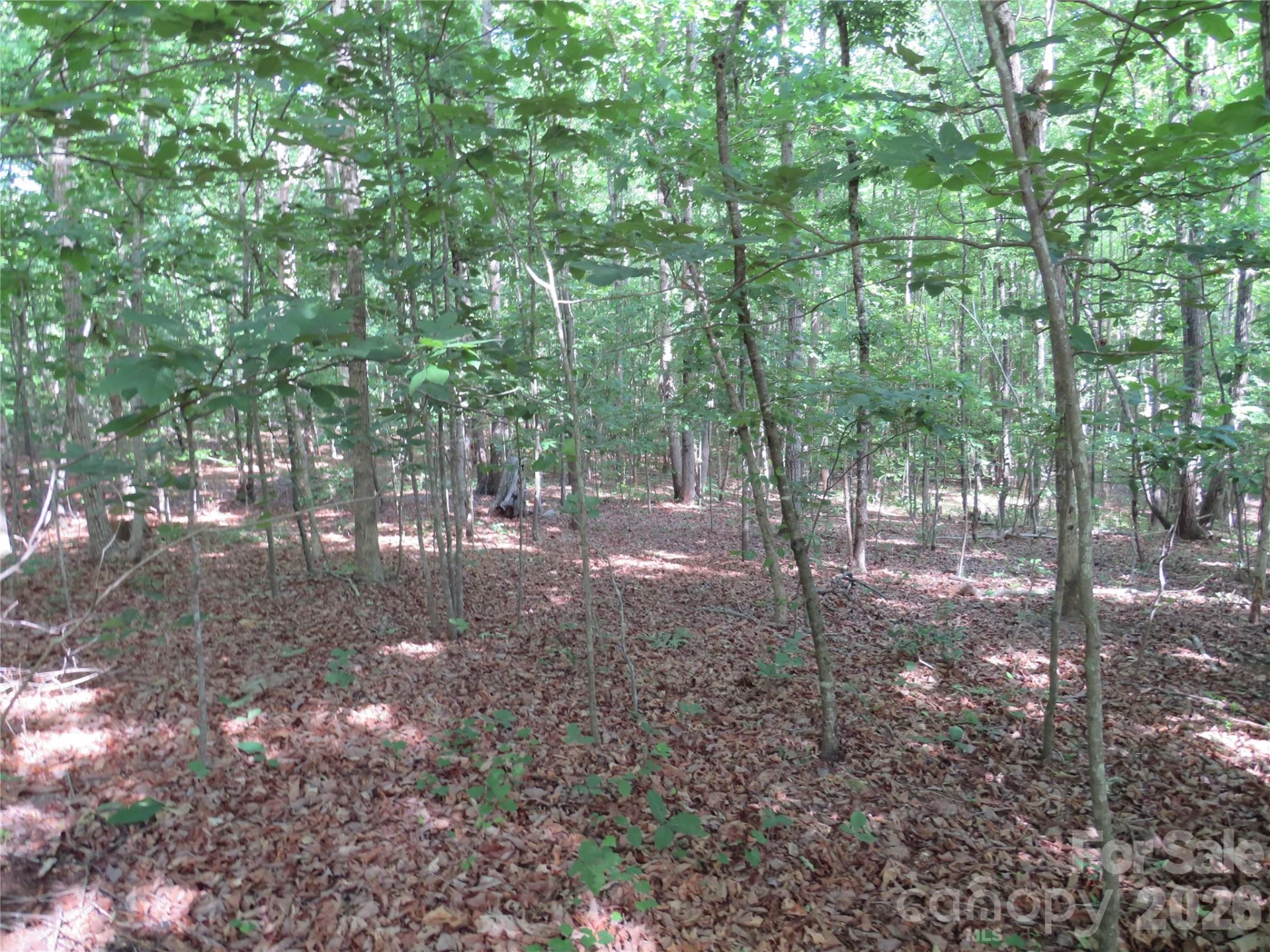 0 S Woodleaf Road - Photo 14