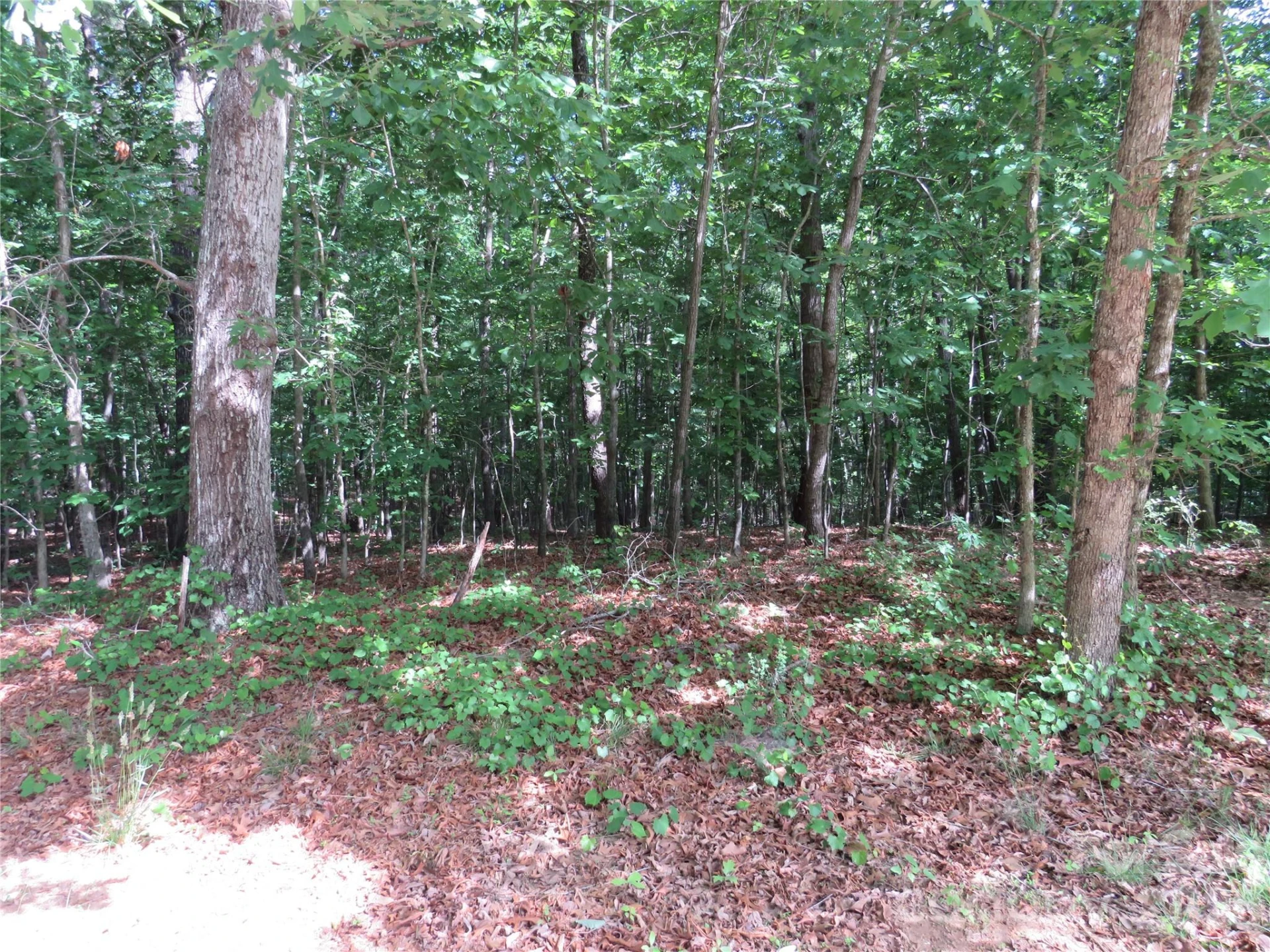 0 S Woodleaf Road - Photo 16