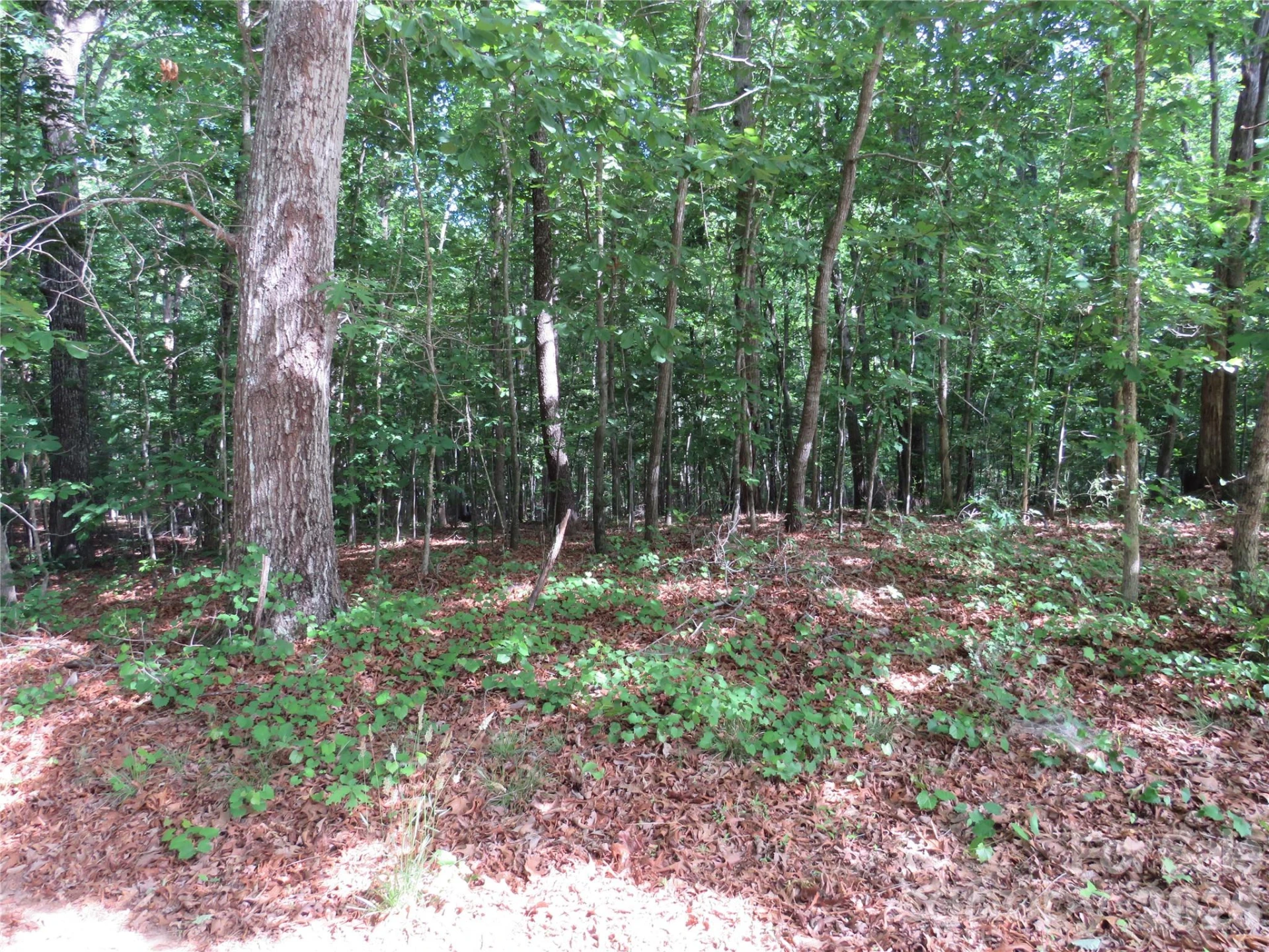 0 S Woodleaf Road - Photo 17