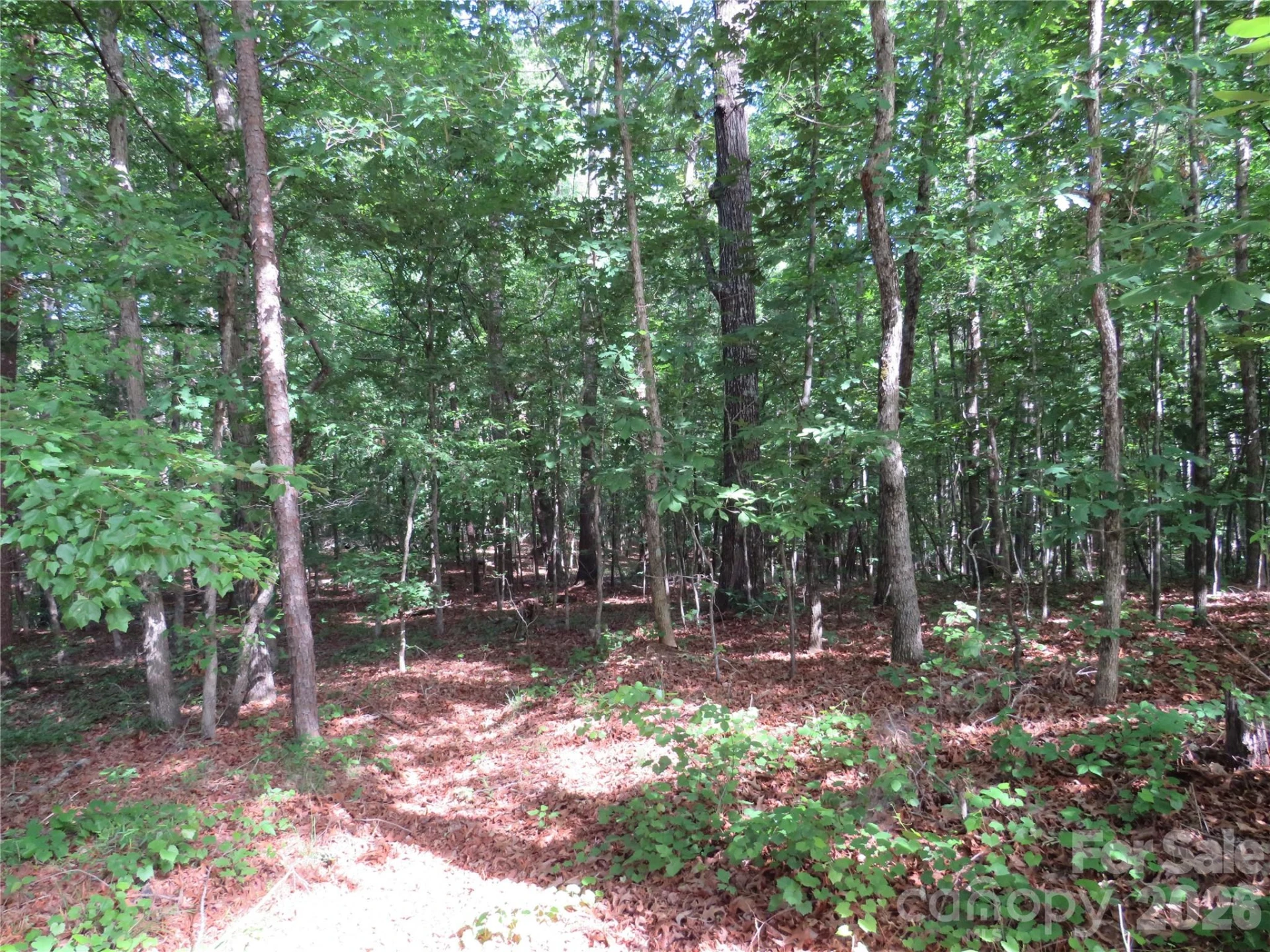 0 S Woodleaf Road - Photo 18