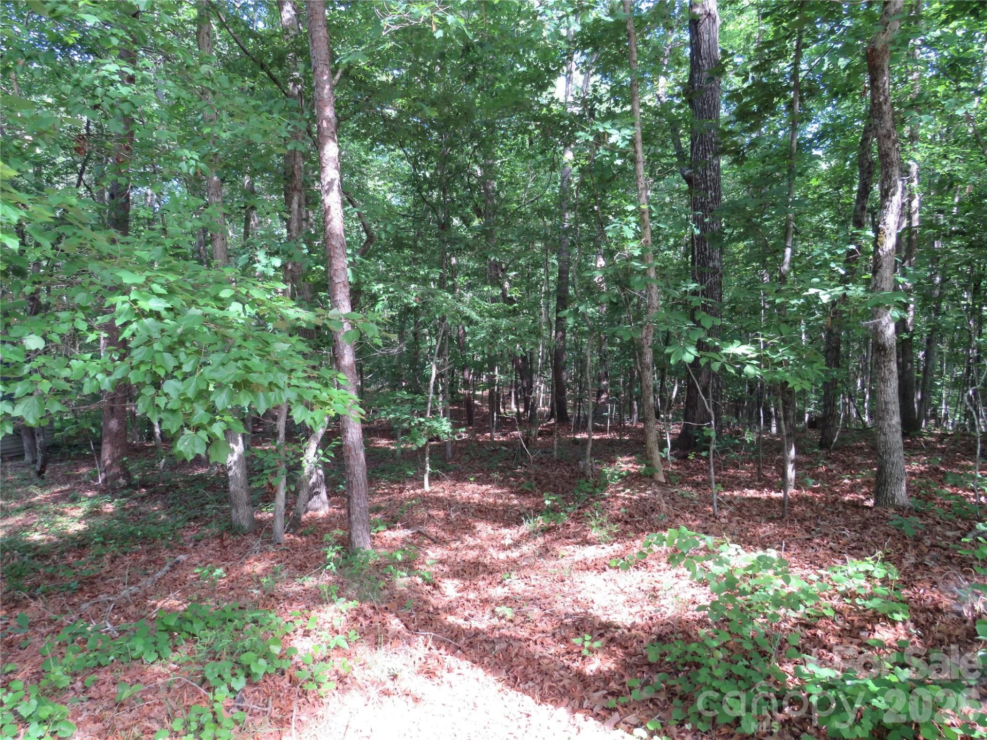 0 S Woodleaf Road - Photo 19