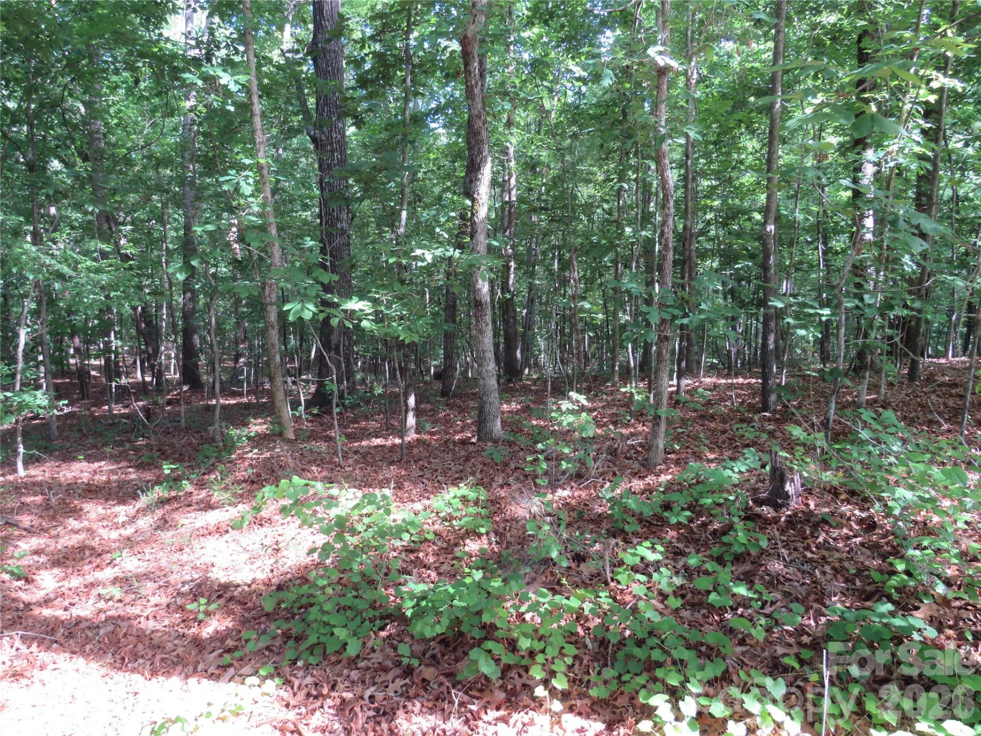 0 S Woodleaf Road - Photo 20